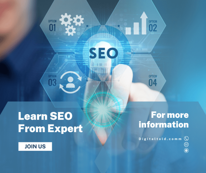 SEO Consulting India: A Complete Guide by Digitaltold.com